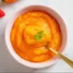 Carrot and mango baby puree smooth and vibrant in a small bowl
