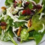 Simple Cranberry Spinach Salad 7 simple cranberry spinach salad 2026 02 07 182952 1024x768 1